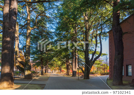 長野縣松本市的秋天，Agata之森公園 97102341