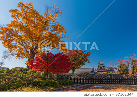 Autumn in Matsumoto City, Nagano Prefecture, National Treasure Matsumoto Castle 97102344