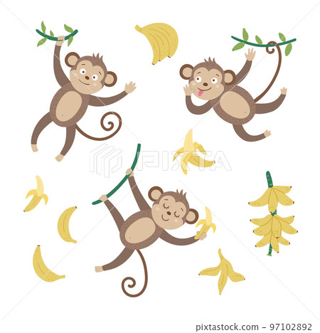 Vector set with cute monkeys with bananas isolated on white background. Funny tropical animals and fruit illustration. Bright flat picture for children. Jungle summer clip art Vector set with cute monkeys with bananas isolated on white background. Funny tropical animals and fruit illustration. Bright flat picture for children. Jungle summer clip art 97102892