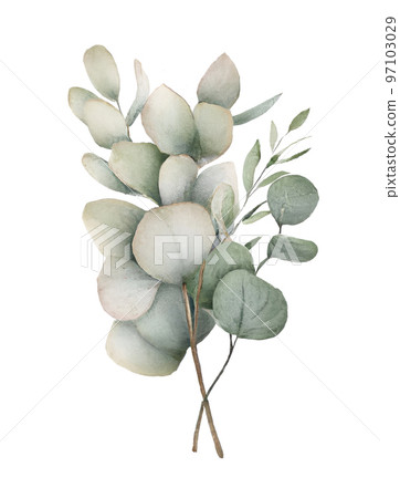 Beautiful Floral Ornament, Watercolor Beautiful Floral Ornament, Watercolor 97103029