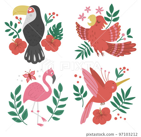 Vector set with cute compositions with exotic birds, leaves, flowers. Funny tropical animals and plants illustration for card design, poster or print. Jungle summer clip art for kids Vector set with cute compositions with exotic birds, leaves, flowers. Funny tropical animals and plants illustration for card design, poster or print. Jungle summer clip art for kids 97103212