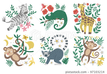 Vector cute compositions with exotic animals, leaves, flowers, fruits. Funny tropical monkey, zebra, lemur and plants illustration for cards, prints or poster design. Bright summer picture for kids. 97103214