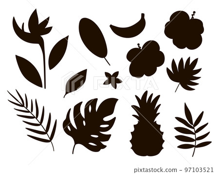 Vector tropical fruit, flowers and leaves silhouettes. Jungle foliage and florals black illustration. Hand drawn flat exotic plants shadows isolated on white background. Summer greenery stamp design 97103521