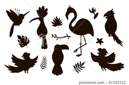 Vector cute exotic birds, leaves, flowers silhouettes isolated on white background. Funny tropical animals and plants illustration. Jungle summer stamp design Vector cute exotic birds, leaves, flowers silhouettes isolated on white background. Funny tropical animals and plants illustration. Jungle summer stamp design 97103522