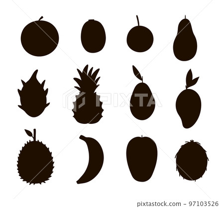 Vector tropical fruit and berries silhouettes. Jungle foliage black illustration. Hand drawn flat exotic plants isolated on white background. Healthy summer food stamp design. 97103526
