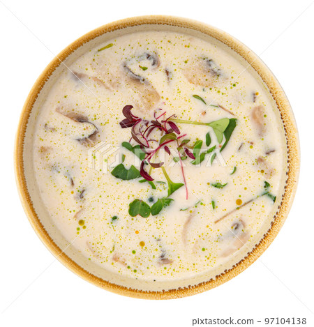 Bowl of gourmet mushroom cream soup Bowl of gourmet mushroom cream soup 97104138