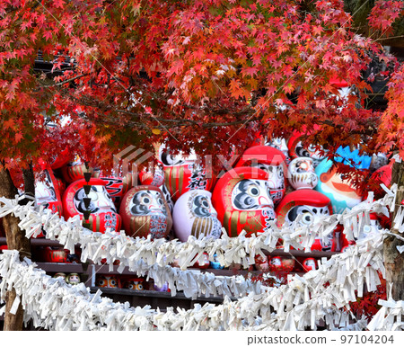 Mausoleum hall and autumn leaves of Shorinzan Darumaji Temple 97104204