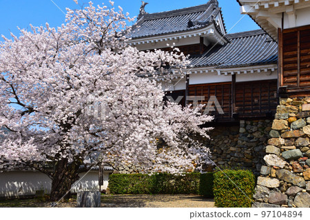 春天的福知山城 春天的福知山城 97104894