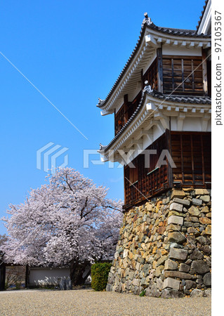春天的福知山城 春天的福知山城 97105367