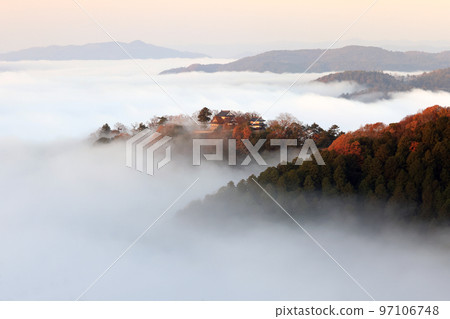 天堂城堡7242 天堂城堡7242 97106748