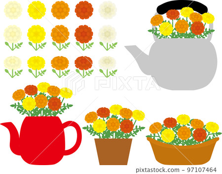 Marigold P 97107464