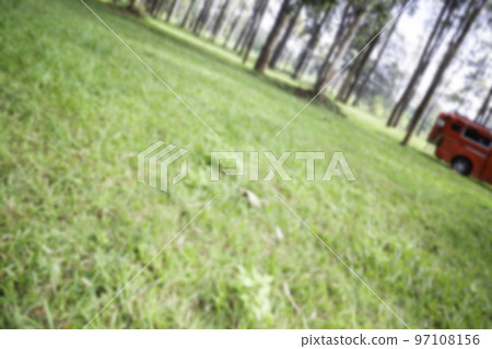 Local green grass field in public park Local green grass field in public park 97108156