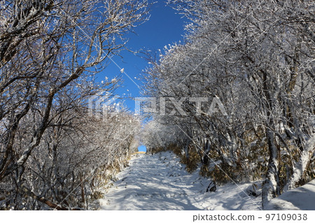 Kuju snow scene in winter 97109038