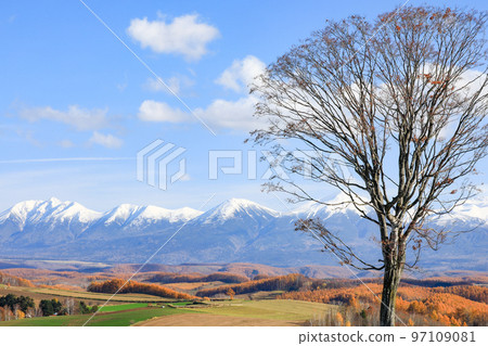 [Biei Town, Hokkaido] Blue Sky, Tokachidake Federation and Autumn Leaves on Hills 97109081