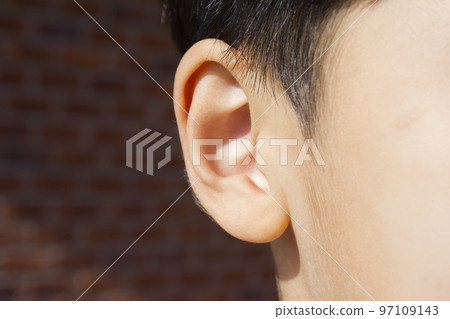 耳朵 耳朵 97109143