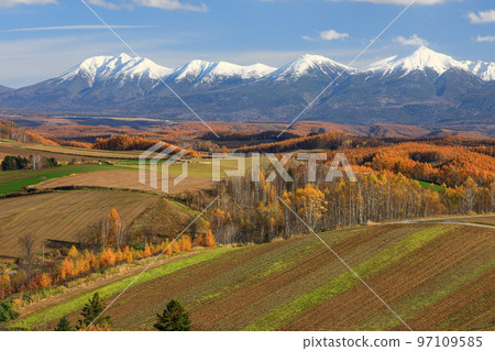[北海道美瑛町]四季彩之丘的紅葉 97109585