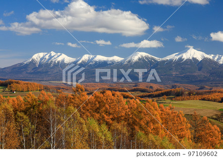 [Biei Town, Hokkaido] Blue Sky, Tokachidake Federation and Autumn Leaves on Hills 97109602