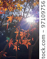 autumn is over 97109756