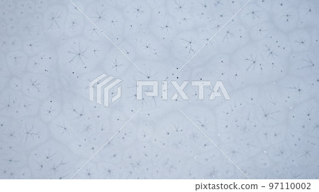 Ice patterns on the surface of a freezing lake Ice patterns on the surface of a freezing lake 97110002