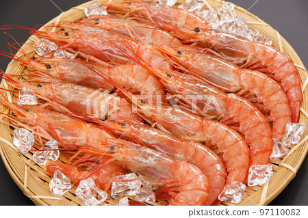 Argentinian Wild Red Shrimp served in an ice colander against a black background 97110082
