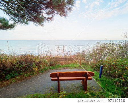 Wooden bench in quiet place under pine trees with amazing view to moody sea. Wooden bench in quiet place under pine trees with amazing view to moody sea. 97110118