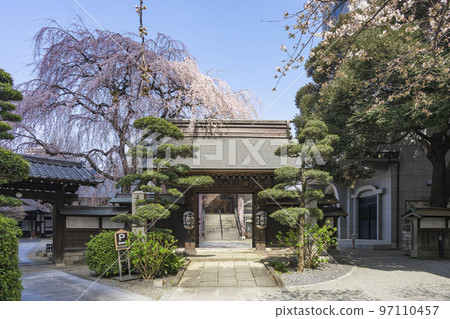 Joenji Temple (Joenji Temple) in Nishi-Shinjuku Joenji Temple (Joenji Temple) in Nishi-Shinjuku 97110457