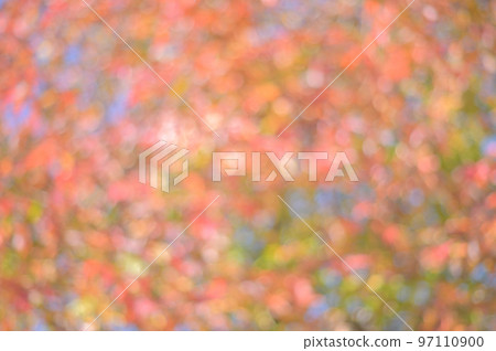 Background material, gradation of autumn leaves 97110900