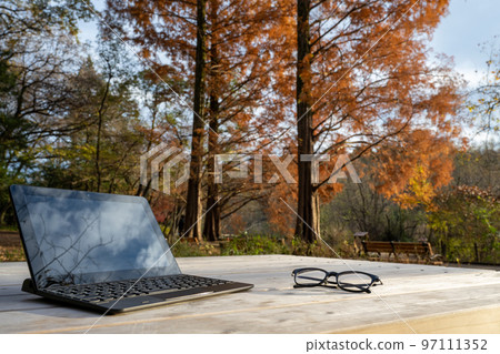Workation image In a park with autumn leaves (Tokyo, Shakujii Park, December 2022) 97111352
