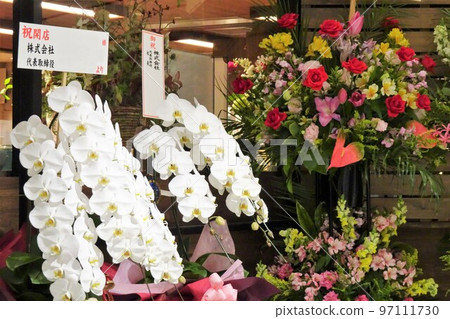 開業慶典鮮花禮品蝴蝶蘭 97111730