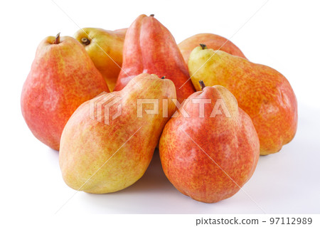 梨紅巴特利特 97112989