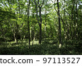 Nicolai Bergmann Hakone Gardens, Vibrant Green Forest 97113527