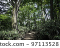 Nicolai Bergmann Hakone Gardens, Vibrant Green Forest 97113528