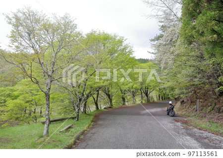 春天新綠美麗的濕地（愛知縣豐田市三河市高戶屋濕地） 97113561