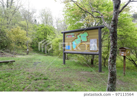春天新綠美麗的濕地（愛知縣豐田市三河市高戶屋濕地） 97113564