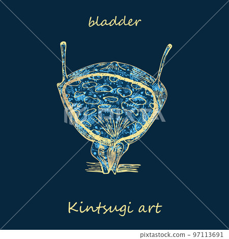 Porcelain bladder decorated blue plant pattern decorated golden craquelure in kintsugi art style. Modern upcycling eco trend. Good design for fashion t-shirt, fabric, scrapbooking, stickers Vector Porcelain bladder decorated blue plant pattern decorated golden craquelure in kintsugi art style. Modern upcycling eco trend. Good design for fashion t-shirt, fabric, scrapbooking, stickers Vector 97113691