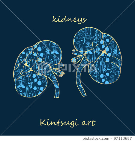 Porcelain kidneys decorated blue plant pattern decorated golden craquelure in kintsugi art style. Modern upcycling eco trend. Good design for fashion t-shirt, fabric, scrapbooking, stickers Vector 97113697