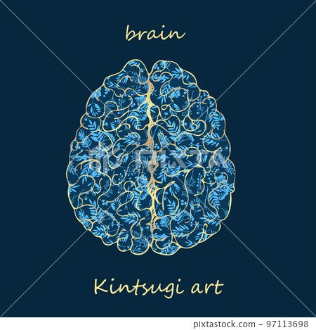 Porcelain brain decorated blue plant pattern decorated golden craquelure in kintsugi art style. Modern upcycling eco trend. Good design for fashion t-shirt, fabric, scrapbooking, stickers Vector 97113698