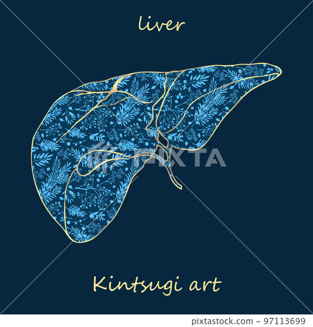 Porcelain liver decorated blue plant pattern decorated golden craquelure in kintsugi art style. Modern upcycling eco trend. Good design for fashion t-shirt, fabric, scrapbooking, stickers Vector Porcelain liver decorated blue plant pattern decorated golden craquelure in kintsugi art style. Modern upcycling eco trend. Good design for fashion t-shirt, fabric, scrapbooking, stickers Vector 97113699