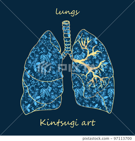 Porcelain lungs decorated blue plant pattern decorated golden craquelure in kintsugi art style. Modern upcycling eco trend. Good design for fashion t-shirt, fabric, scrapbooking, stickers Vector Porcelain lungs decorated blue plant pattern decorated golden craquelure in kintsugi art style. Modern upcycling eco trend. Good design for fashion t-shirt, fabric, scrapbooking, stickers Vector 97113700