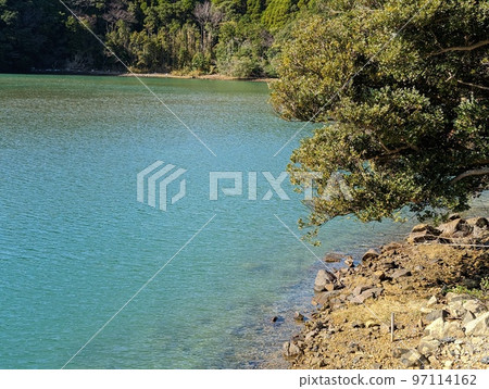 美麗的微鹹水錶面和樹木 97114162