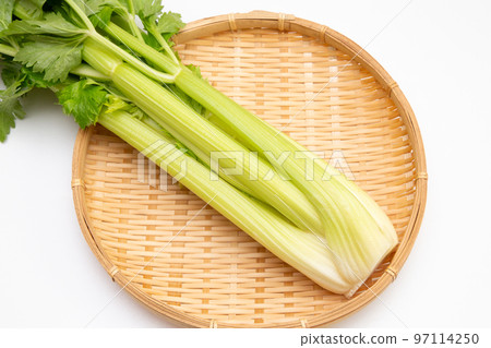 芹菜 97114250