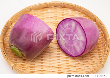 紫蘿蔔 紫蘿蔔 97114342
