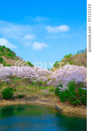 Osaka Prefecture Walking along the row of Stock Photo