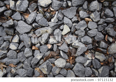 gravel and leaves 97115132