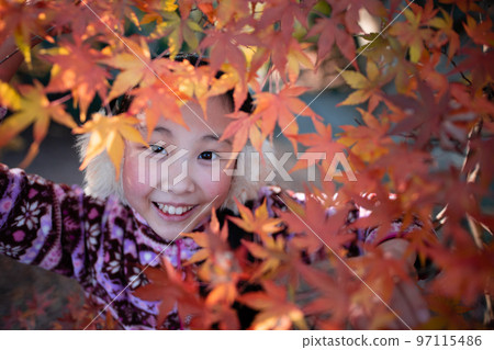 楓葉和女孩 楓葉和女孩 97115486
