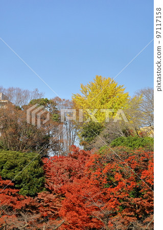 Burning Autumn 97117158