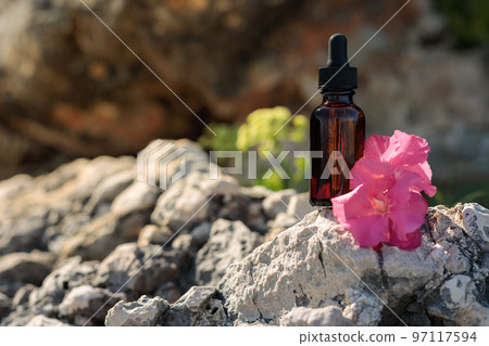Flower mockup for presentation of cosmetic, medical product. Bach flower remedies, alternative or complementary medicine treatment. Flower mockup for presentation of cosmetic, medical product. Bach flower remedies, alternative or complementary medicine treatment. 97117594