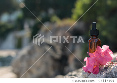 Medicine, naturopathy, essential oils, flowers, supplements. Mockup for cosmetic product. Medicine, naturopathy, essential oils, flowers, supplements. Mockup for cosmetic product. 97117595