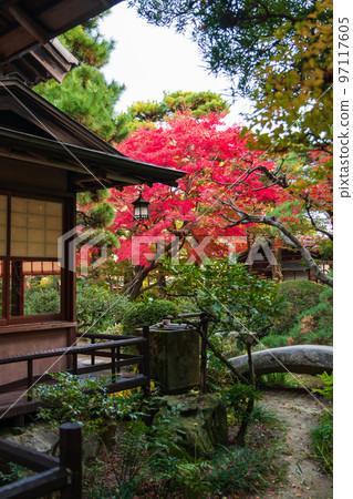 Shokoso in Autumn <Nishio City, Aichi Prefecture> 97117605