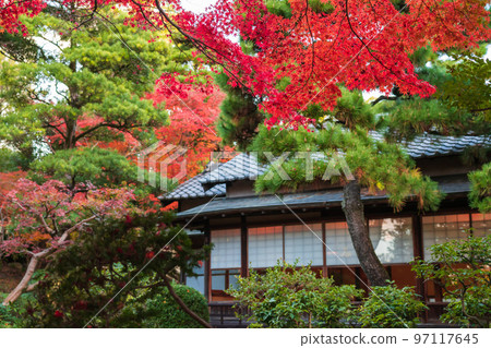 秋天的松工莊<愛知縣西尾市> 97117645